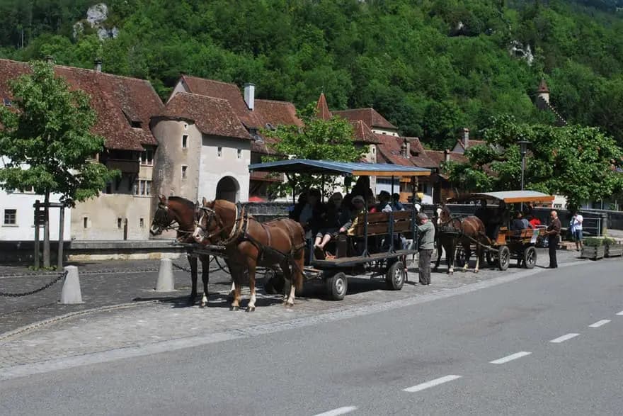 Saint-Martin Jura : sortie d'équipe en char attelé