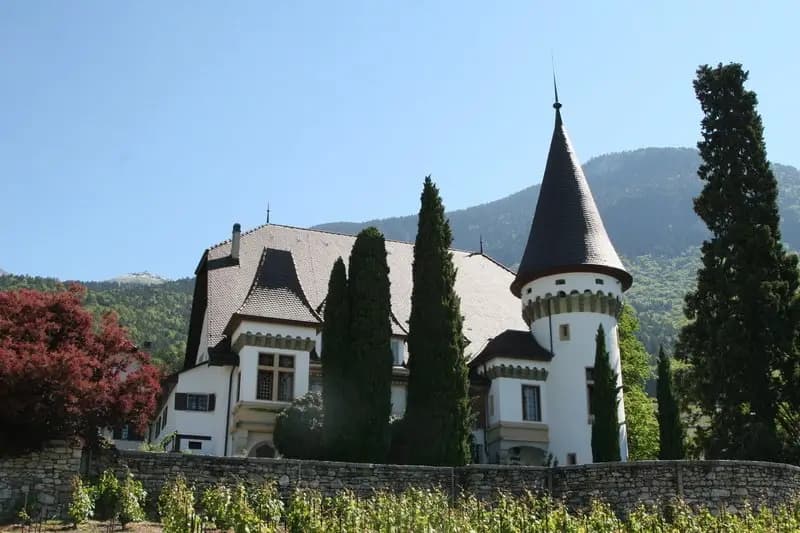 Château Maison blanche