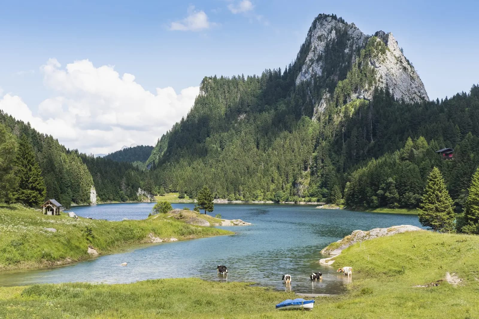 Refuge du Grammont - Lieu événementiel
