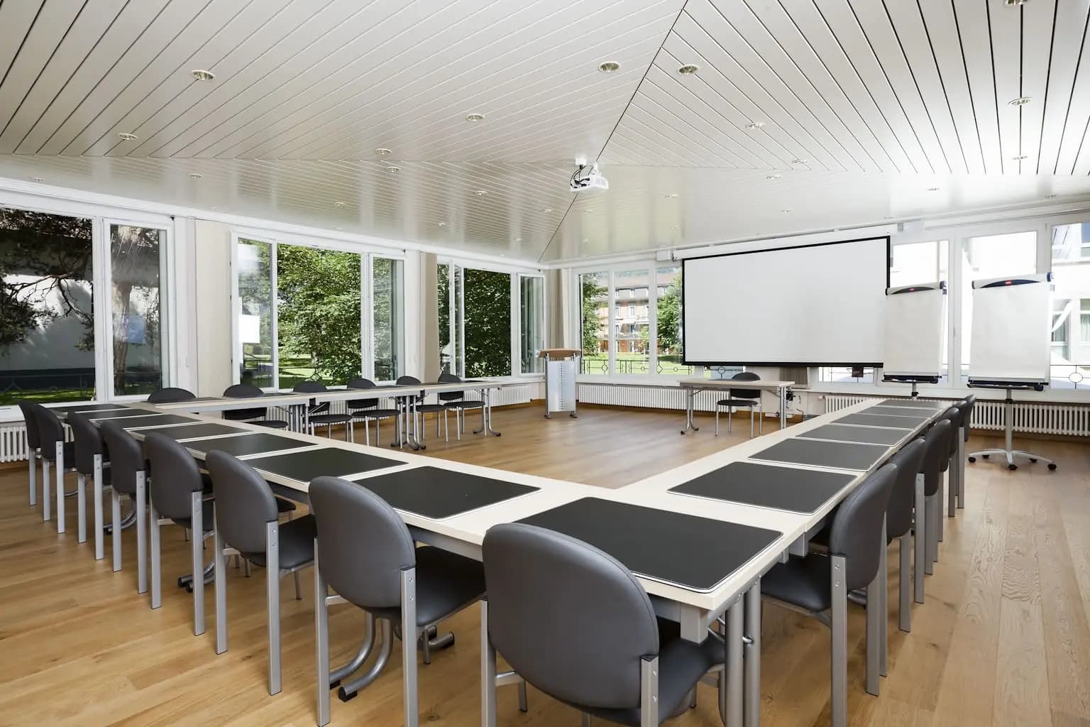 Le Grand Hôtel des Bains de Lavey - Salle de séminaire